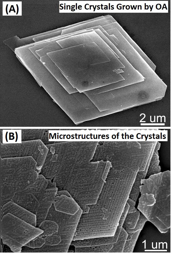 Experimental Samples