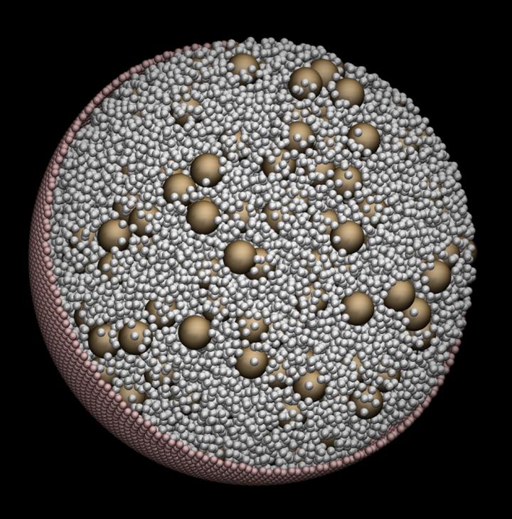 Cellular Visualization (2 of 2)