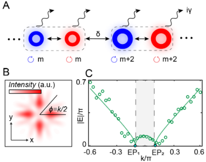 Realization of exceptional points along a synthetic orbital angular momentum dimension