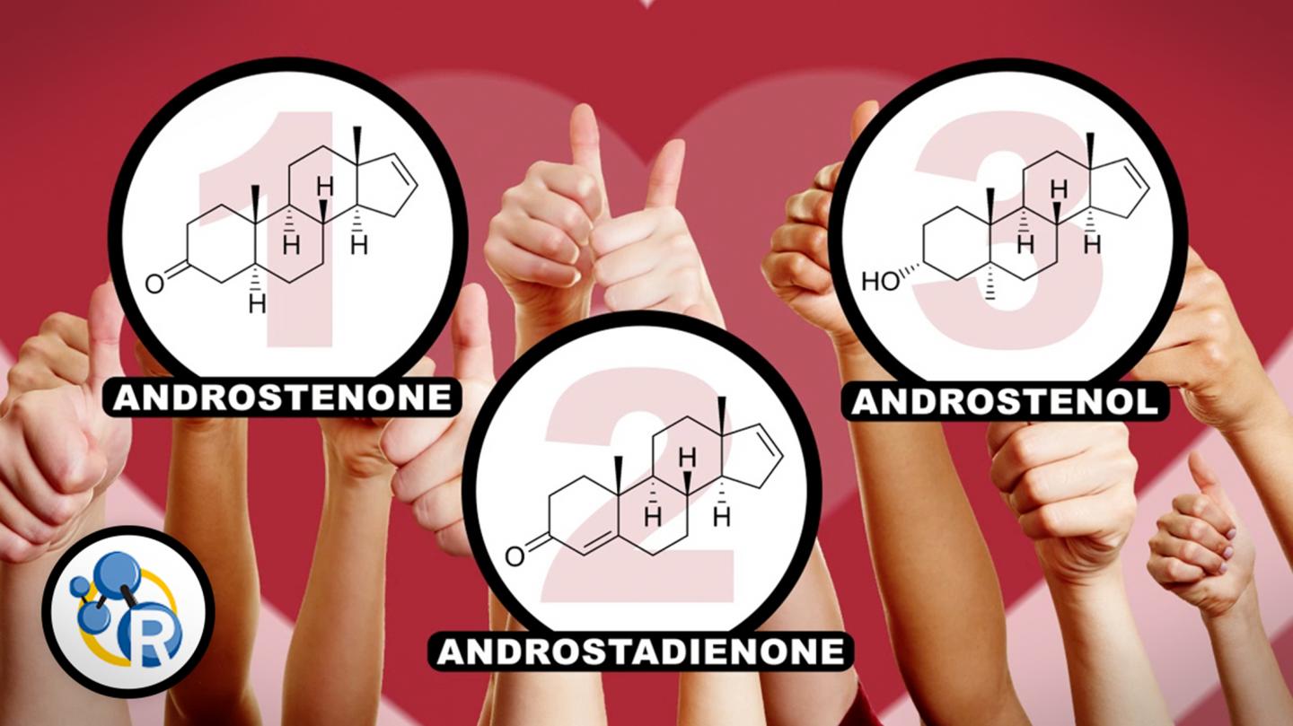 Can Pheromones Get You a Date? (Video)