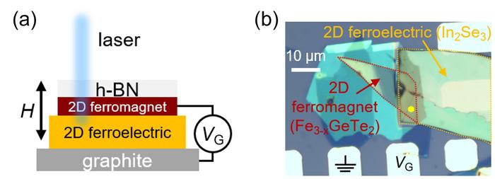 [Fig 1] Schematics and optical image of the two-dimensional(2D) material heterostructure device
