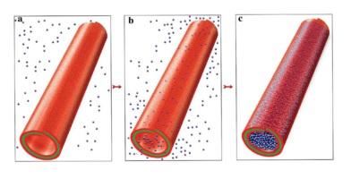 Loading Clay Nanotubes with Drug