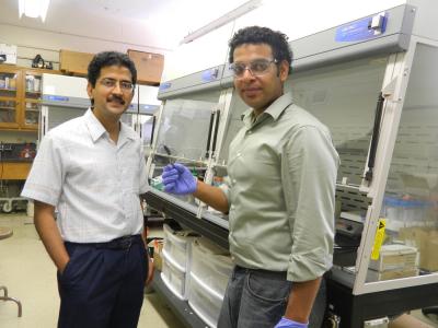 NSF awards $1.2 million grant to Clemson professor for energy storage research