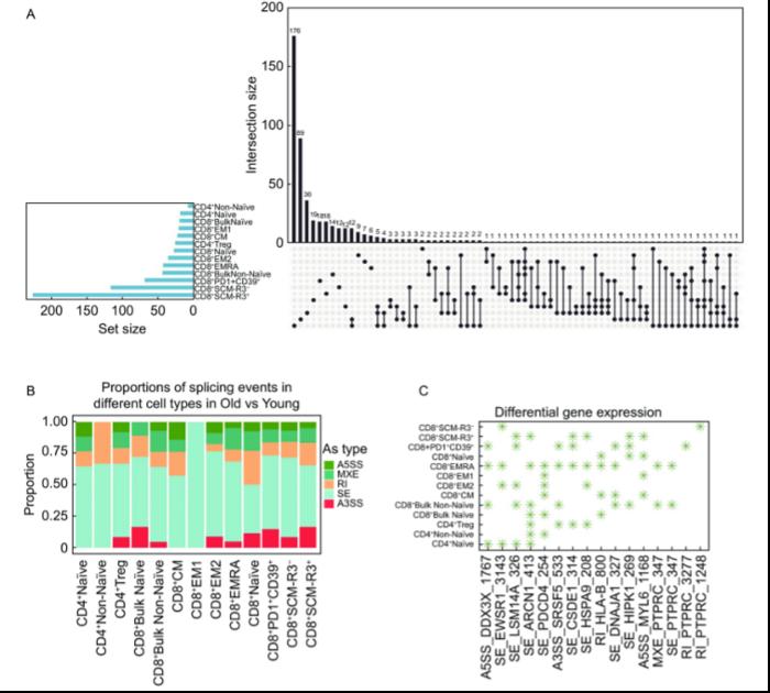 Overall summary of aging-related alternative splicing events across T cell subtypes.