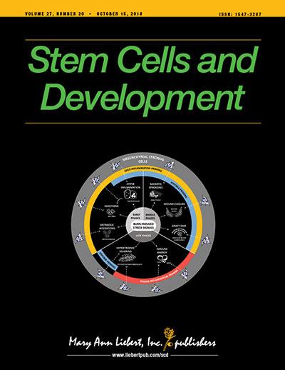 Stem Cells and Development