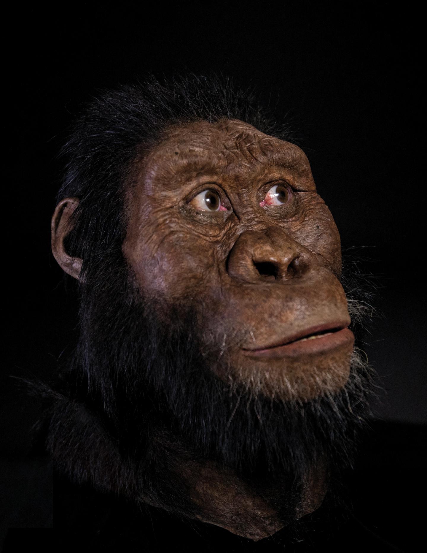 Facial Reconstruction Of 'MRD'