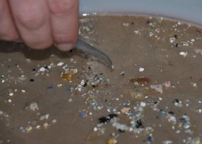 Microplastic Debris