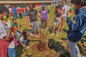 Providing tree canopy for underserved communities