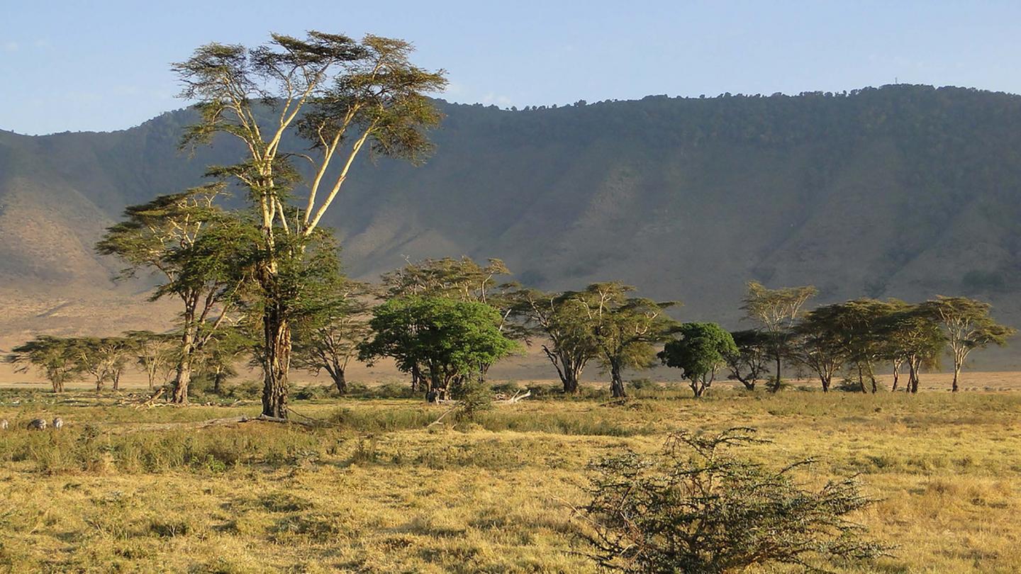 The Ngorongoro