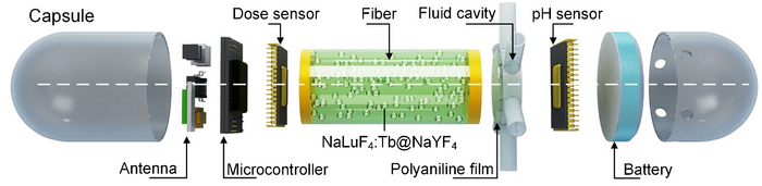 Novel ingestible capsule X-ray dosimeter figure