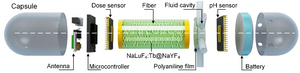 Novel ingestible capsule X-ray dosimeter figure