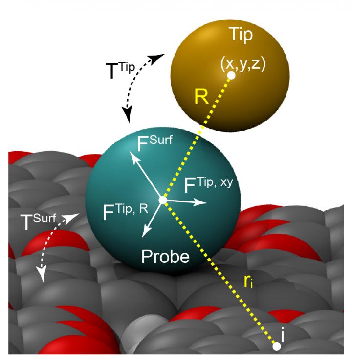 Scanning Probe Microscopy with Atomic-Scale Sensors