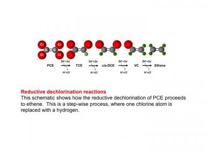 Reductive Dechlorination