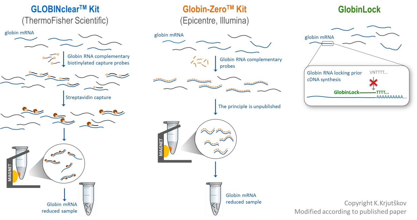 Comparison of Globin mRNA Reduction Methods