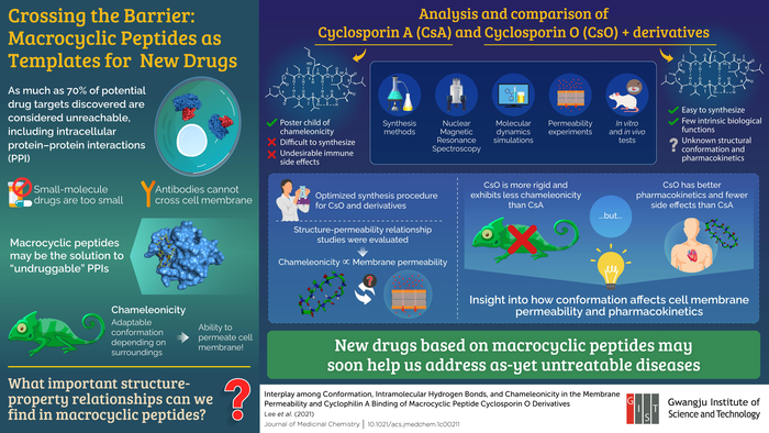 Macrocyclic Peptides as New Drug Templates