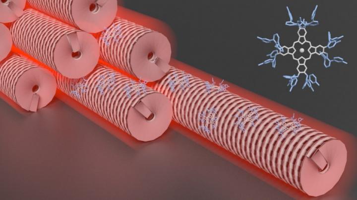 Photoactive Rod-Like Virus Bundle Schematic