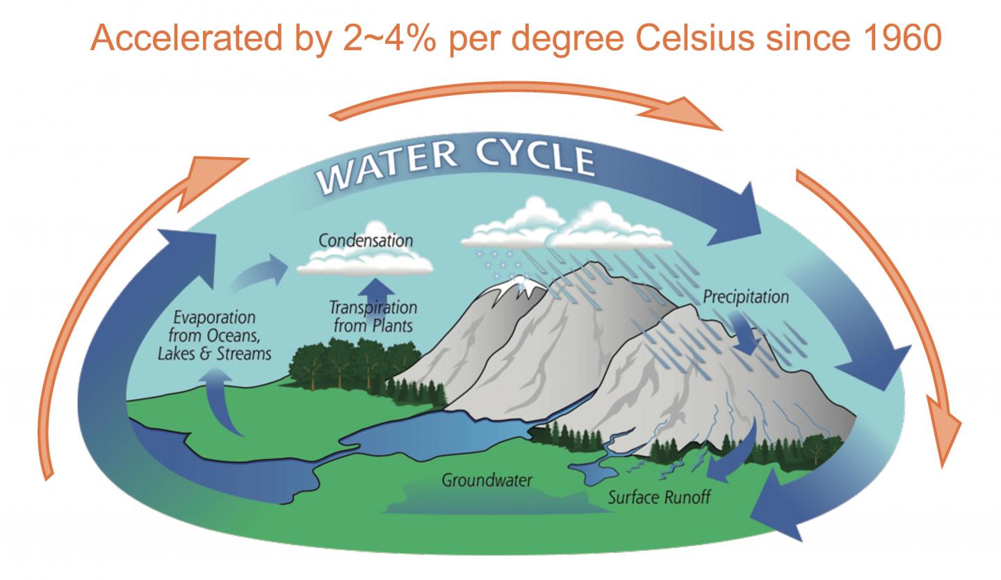 Global Water Cycle