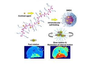 Self-foldToing mechanism leads to enhanced contrast in MRI scans