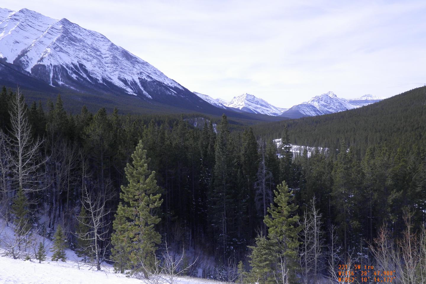 Present-Day View of Area