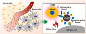 Schematic image of NK cell-engaging nanodrones (NKeNDs).