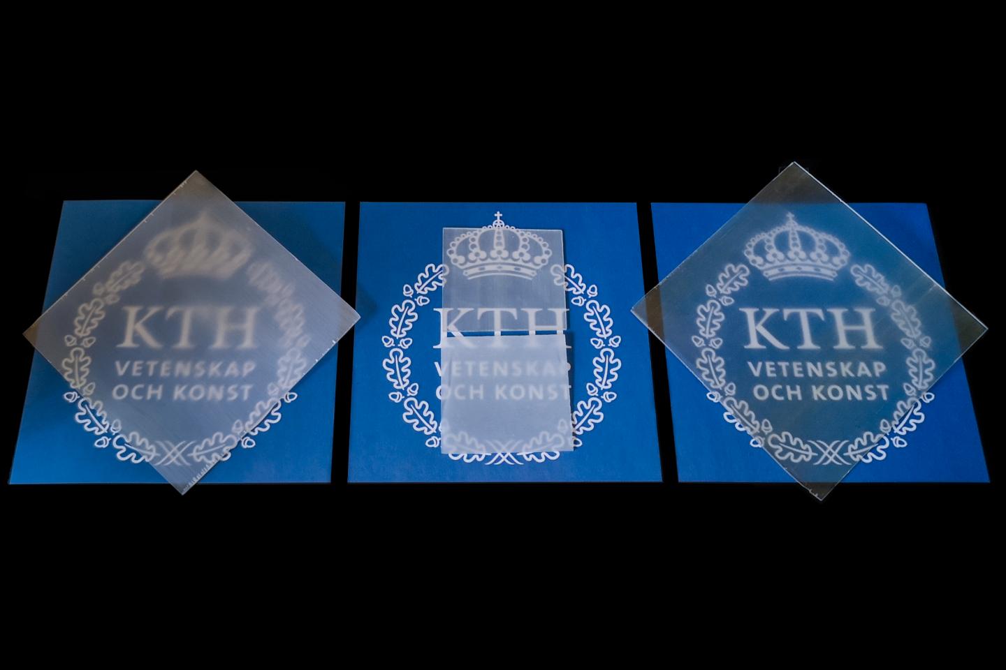 See-through wood made with citrus derivative