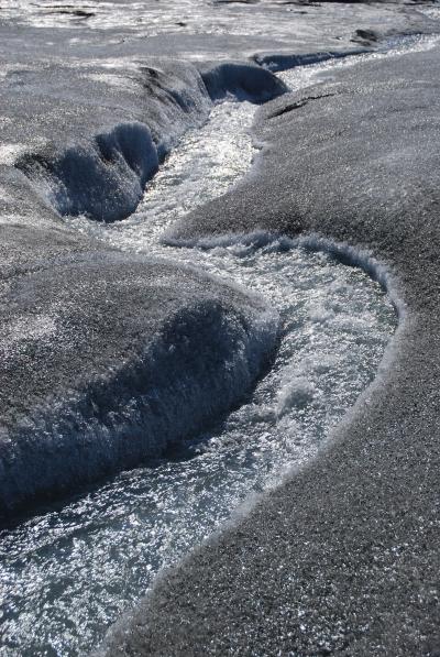 Glaciers Might be Gentle Giants (12 of 26)