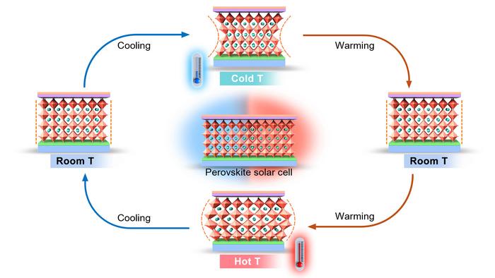 Illu Cycling Perovskites