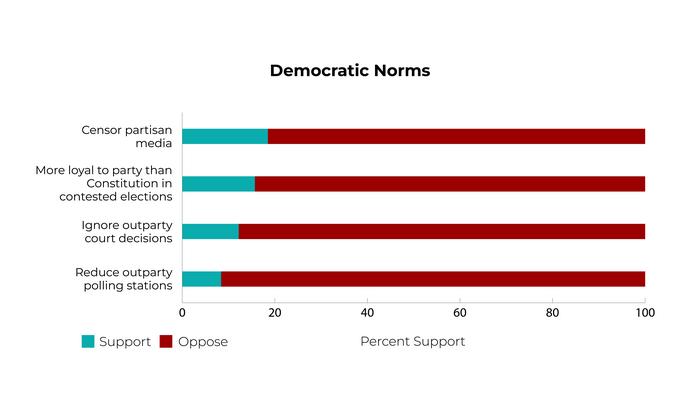 Democratic Norms