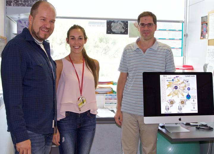 CNIC Researchers Salvador Iborra, María Martínez, and David Sancho