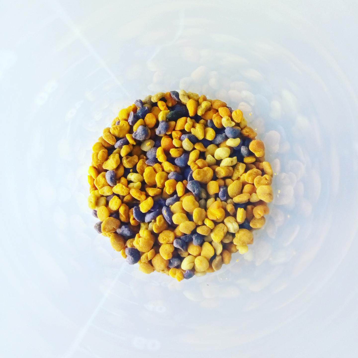 Different colours of grains in a round dish