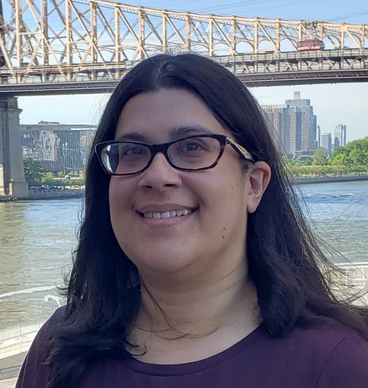 Dr. Piya Ghose, University of Texas at Arlington