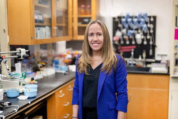 University of Virginia Biomedical Engineering Professor Silvia Salinas Blemker