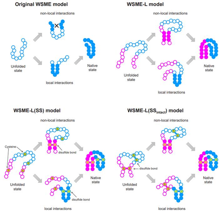 Physical theory improves protein folding pred Open Source Biology