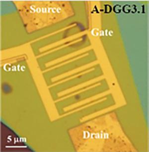 Paving the Way for Tunable Graphene Plasmonic THz Amplifiers