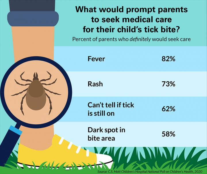 Bug Bites Prompting Medical Care