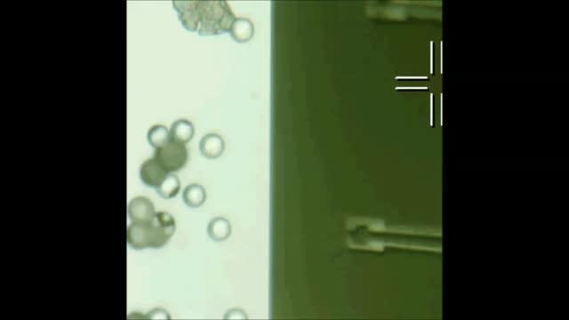 Microscopic Gripper Made With Novel Semiconductor Nanocomposite Material