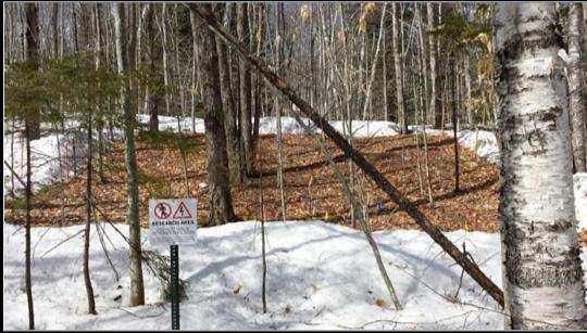 Hubbard Brook Snowpack Removal Study
