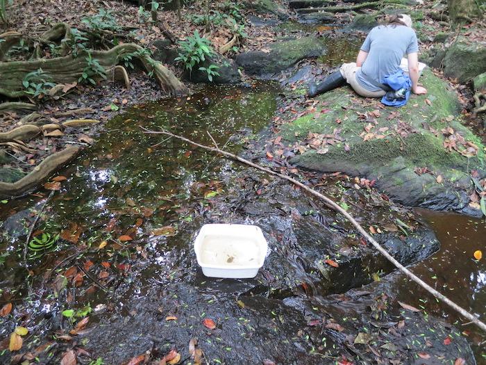 Student Researcher in the Field