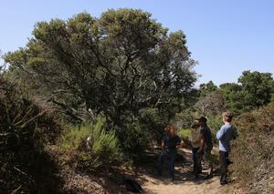 Researchers in the field