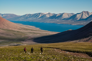 Ymer Island, Greenland