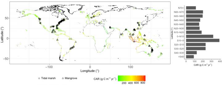 Figure 1. Global coastal BC