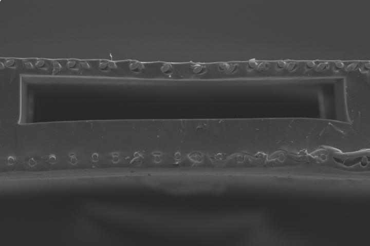 Scanning Electron Microscopy Image of a Double-Sided Single Oxygenator Unit