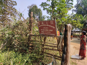 Home Gardens in India