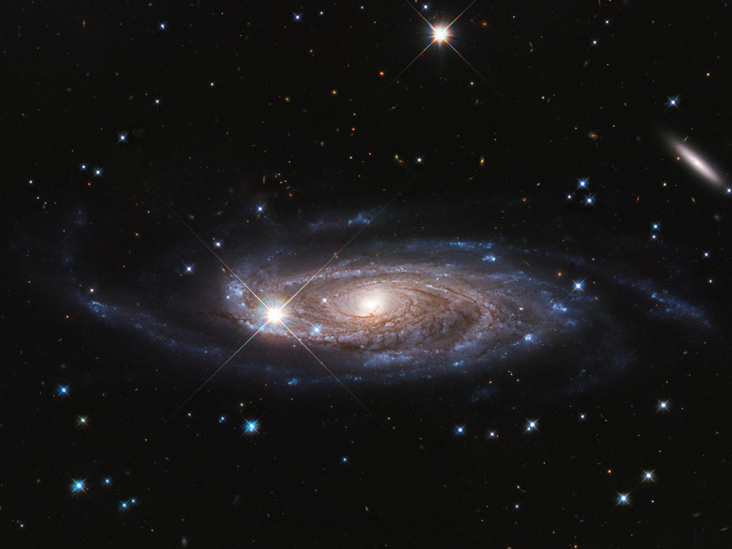 NASA's Hubble Surveys Gigantic Galaxy