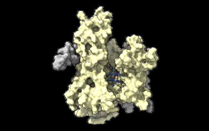 Small molecules make drug development increasingly accurate