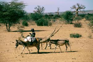 Fulani woman in Mali