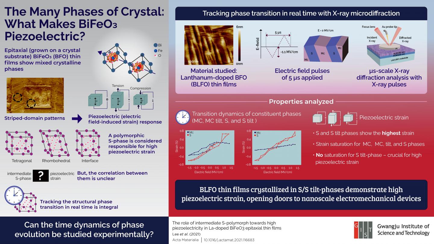 What Different Phases of Piezoelectric Materials Tell Us