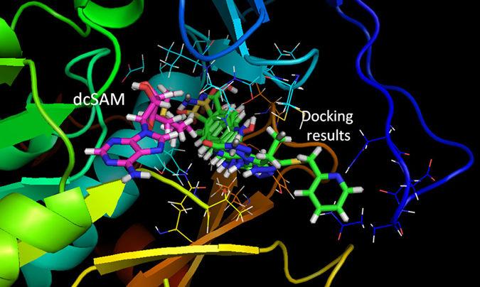 Results of the TcSpdSyn-ligand Docking Analysis