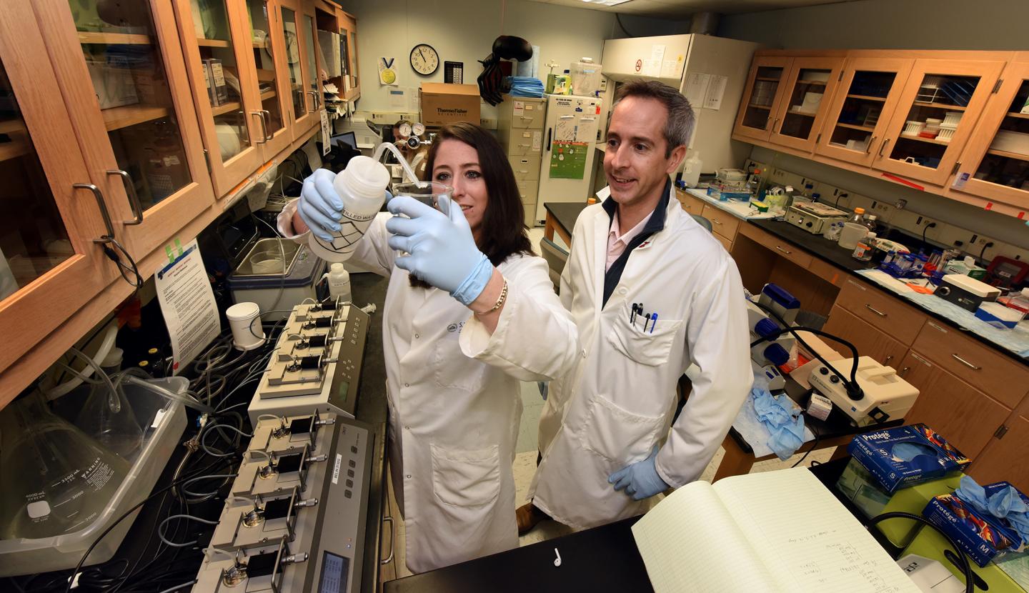 Jessica Faulkner and Eric Belin de Chantemele, Medical College of Georgia at Augusta University