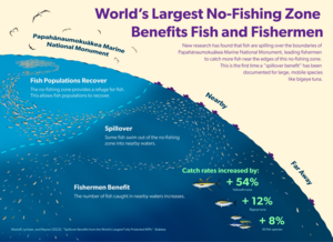 World’s largest no-fishing zone benefits fish and fishermen